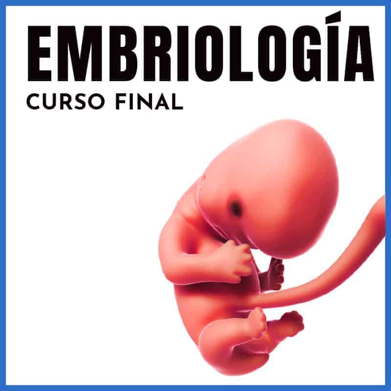 Embriología | Final Intensivo Ambos Profesores