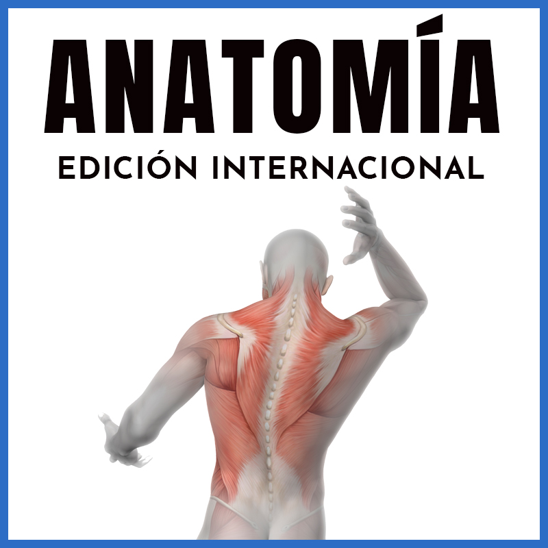 Anatomía | Edición Internacional | Dr. Ayax Rizo