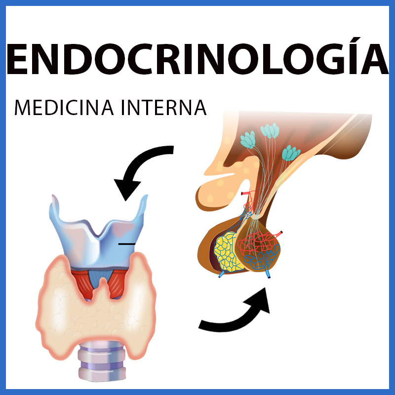 Endocrinología | Medicina Interna