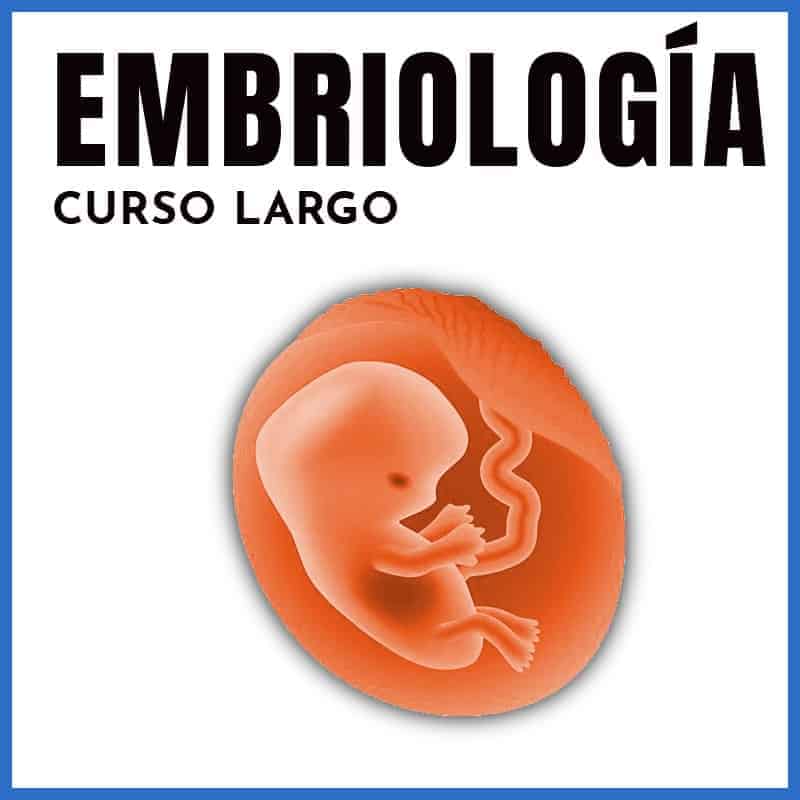 Embriología | Curso Completo Online