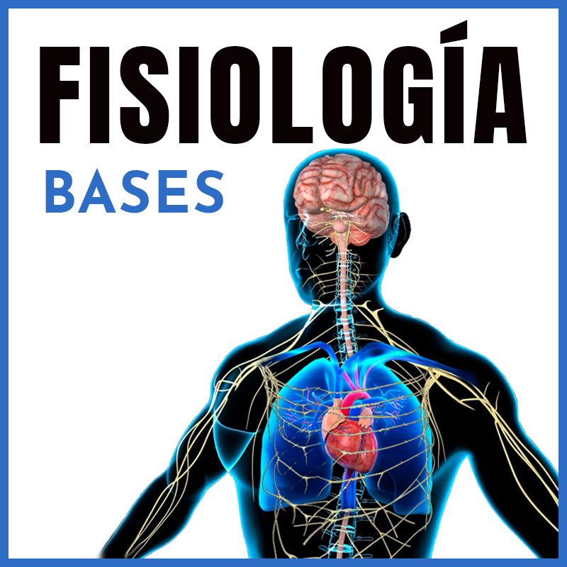 Fisiología | Bases | Dr. Shahroj