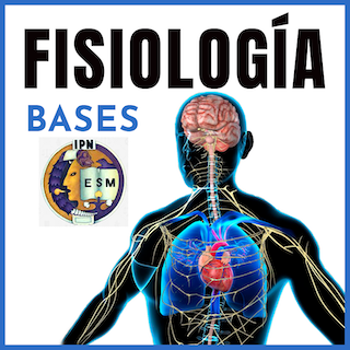 Fisiología | Bases | IPN