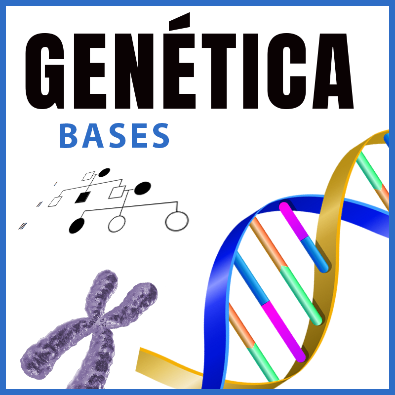 Genética | Bases | Dr. Shahroj Mortaji