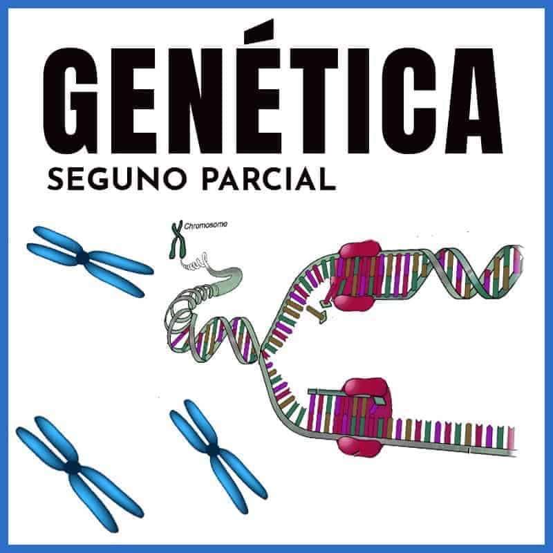 Genética | 2º Parcial Intensivo