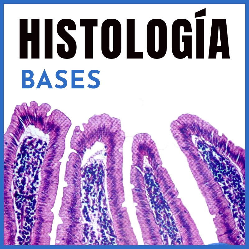 Histología y Biología Celular | Bases | Dr. Cab