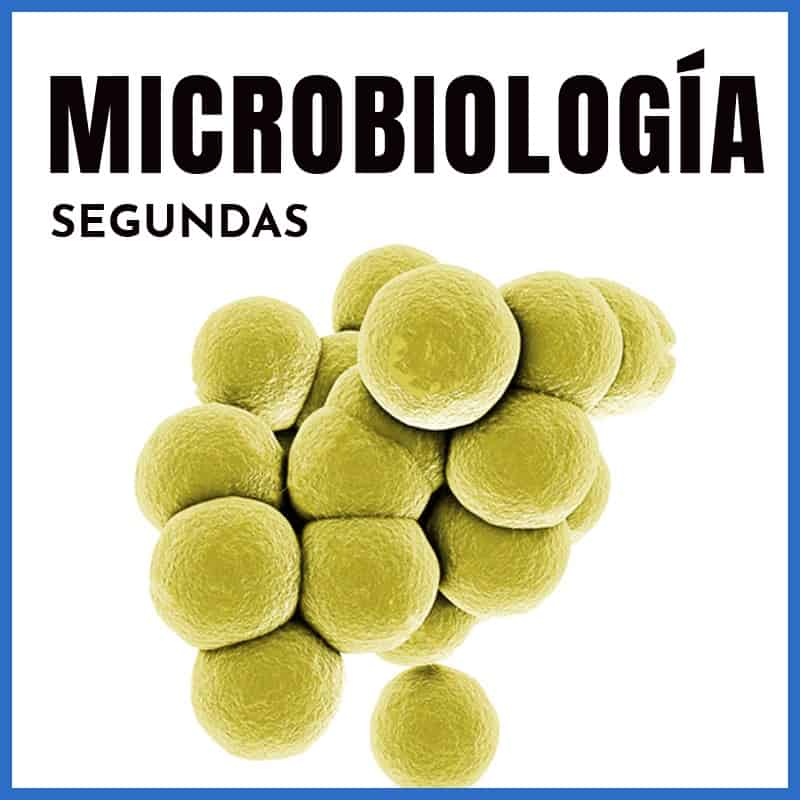Microbiología | Segunda Oportunidad | A Beneficio