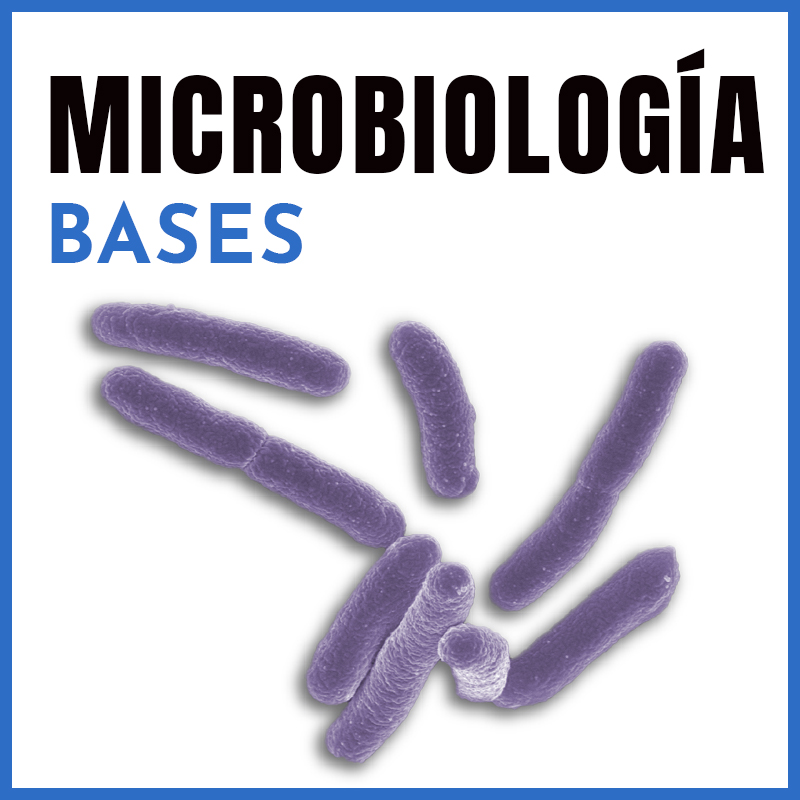 Microbiología | Bases | Dr. Humberto