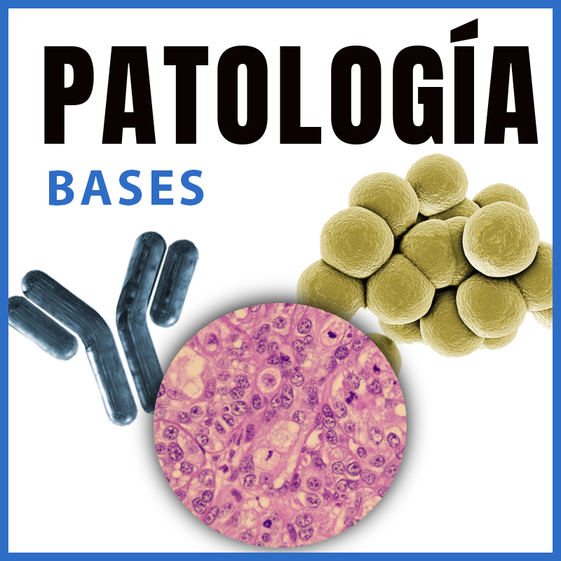 Patología | Bases