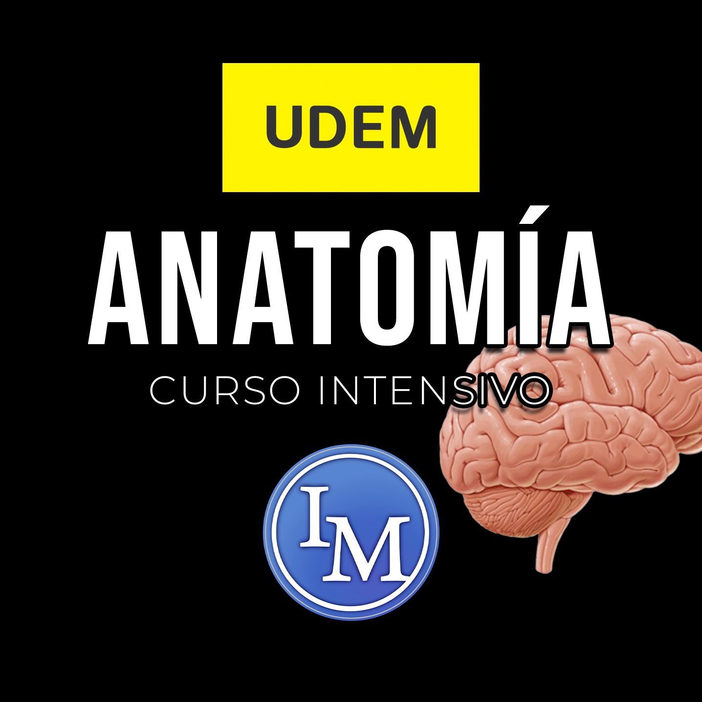 UDEM - 3º parcial de Anatomía