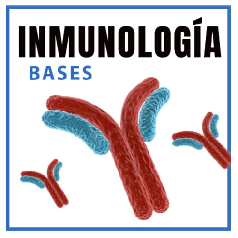 Inmunología | Bases - Dra. Danna Ventura