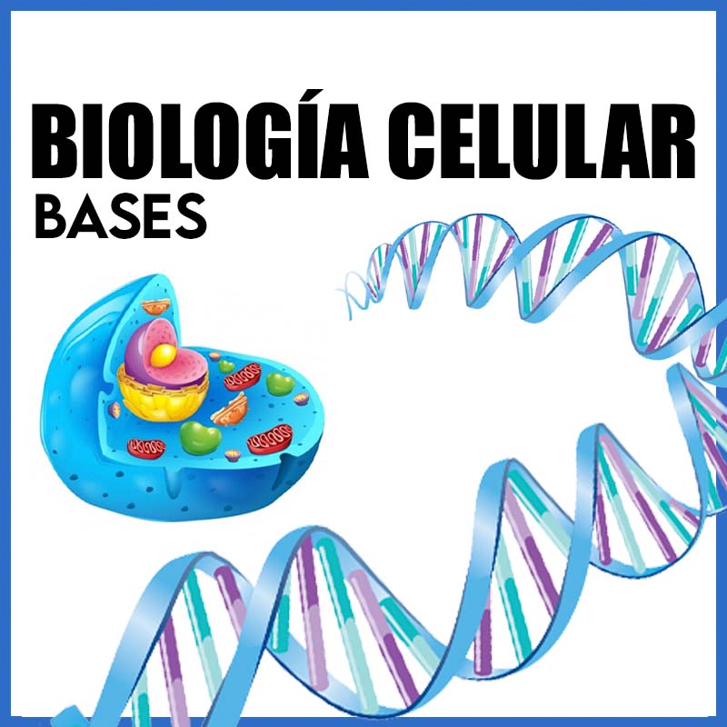 Biología Celular | Bases - Dr. Rolando Delgado