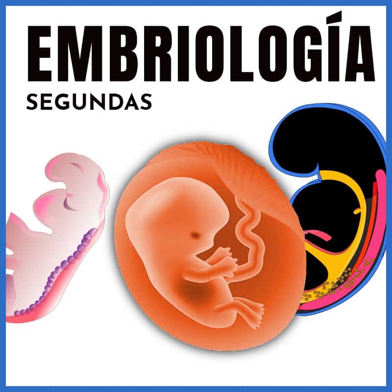 Embriología | Segunda Oportunidad | A Beneficio