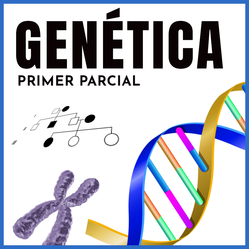 Genética Médica | Introducción, tipos de herencia y enfermedades asociadas.