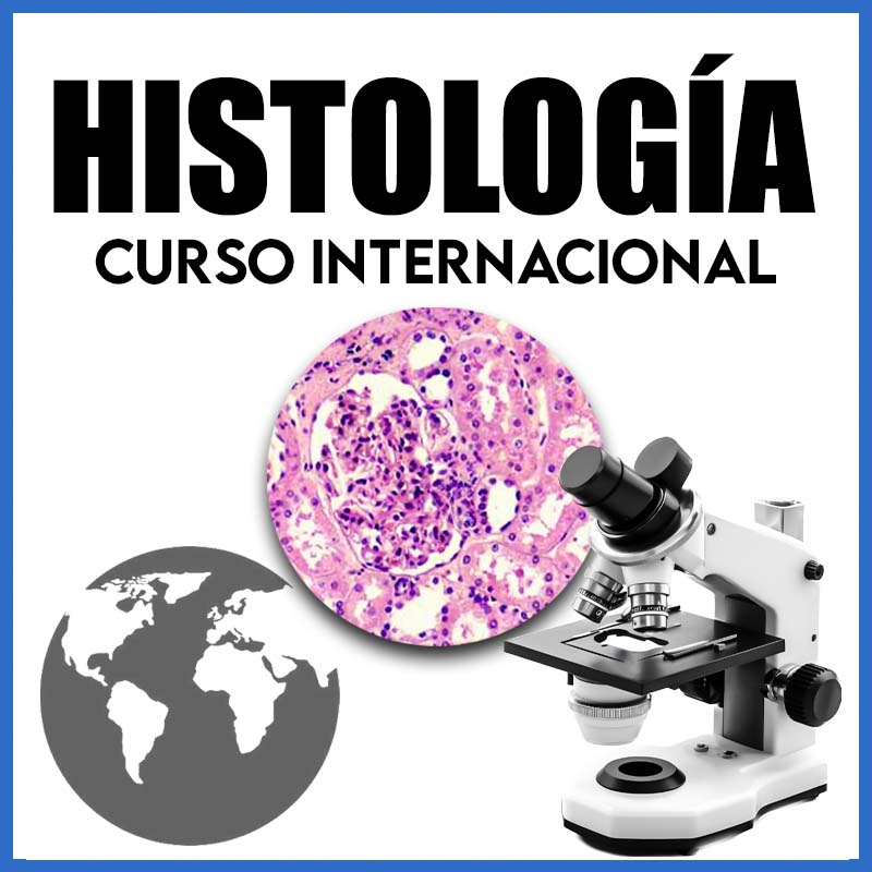 Histologia | Curso Internacional - Dr. Alejandro Saldaña